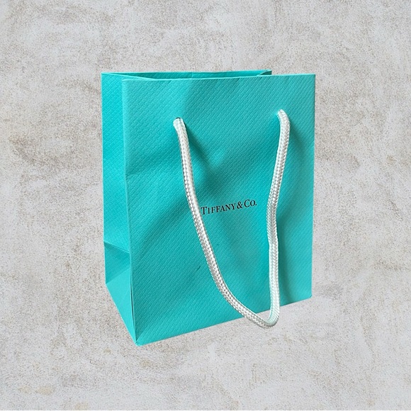 Tiffany & Co. Handbags - Tiffany and Company Empty Shopping Tote/Gift Bag🩵